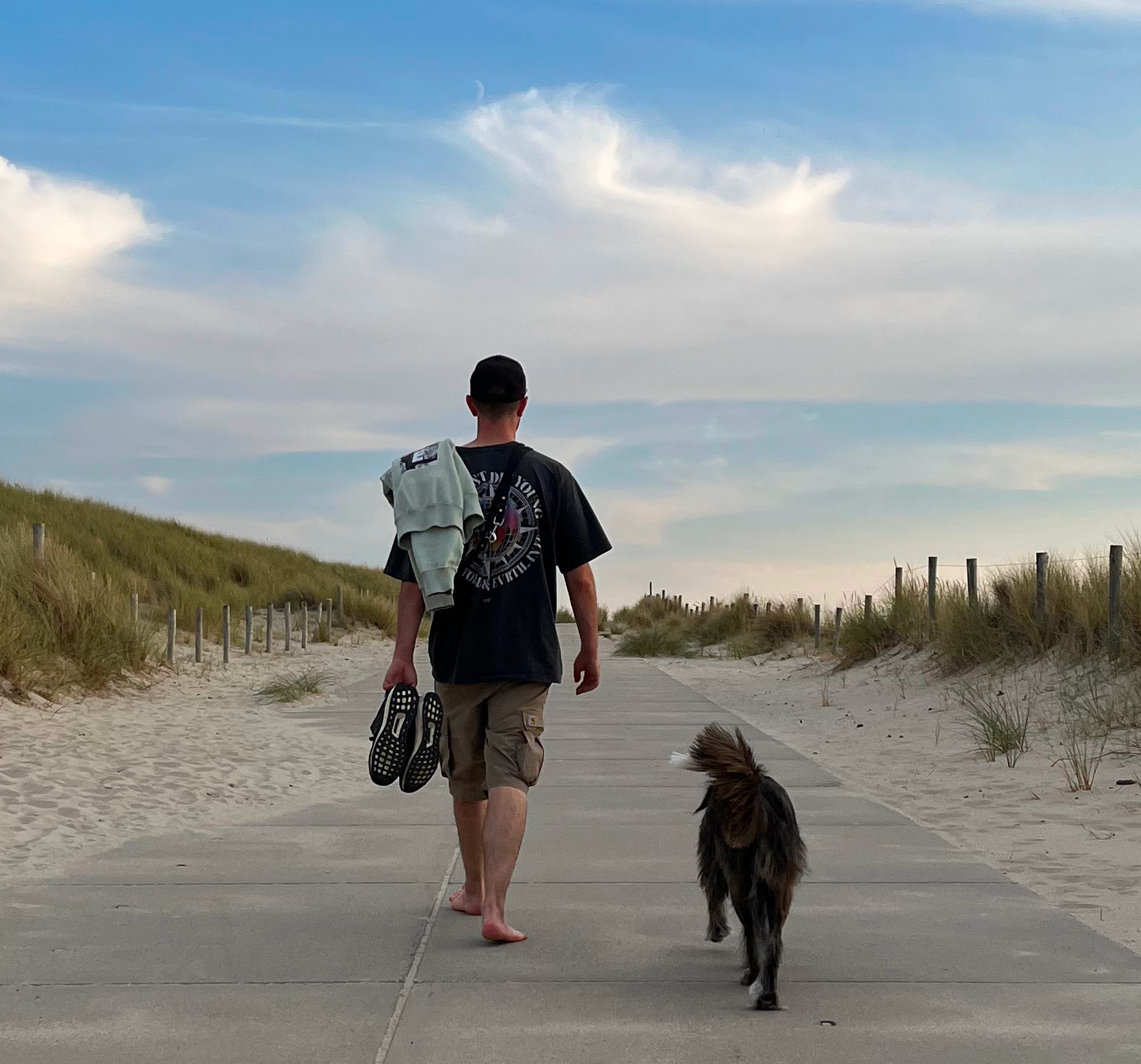 Mensch verteilt Leckerchen in Hundegruppe