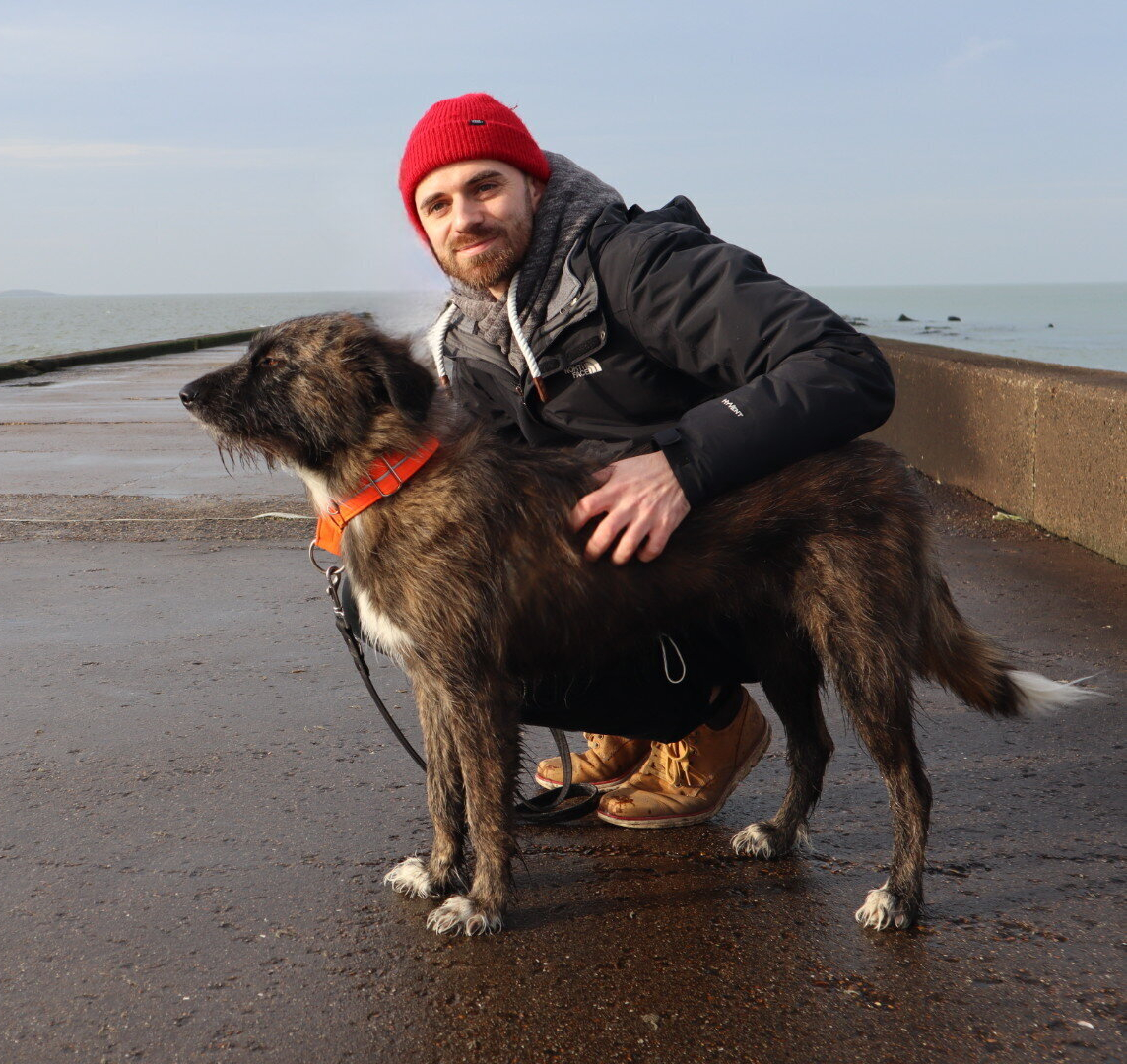 Hund mit Stock im Fang